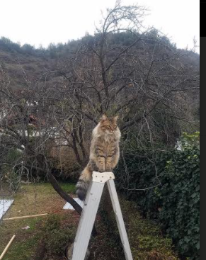 全民健身项目广泛开展提升健康水平，广泛开展全民健身运动增强全民体质