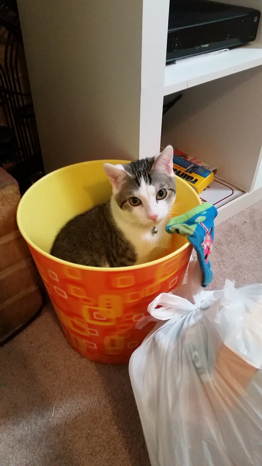 乐鱼体育app官网-广东队引进外援提升球队整体竞争力，广东队外援资料