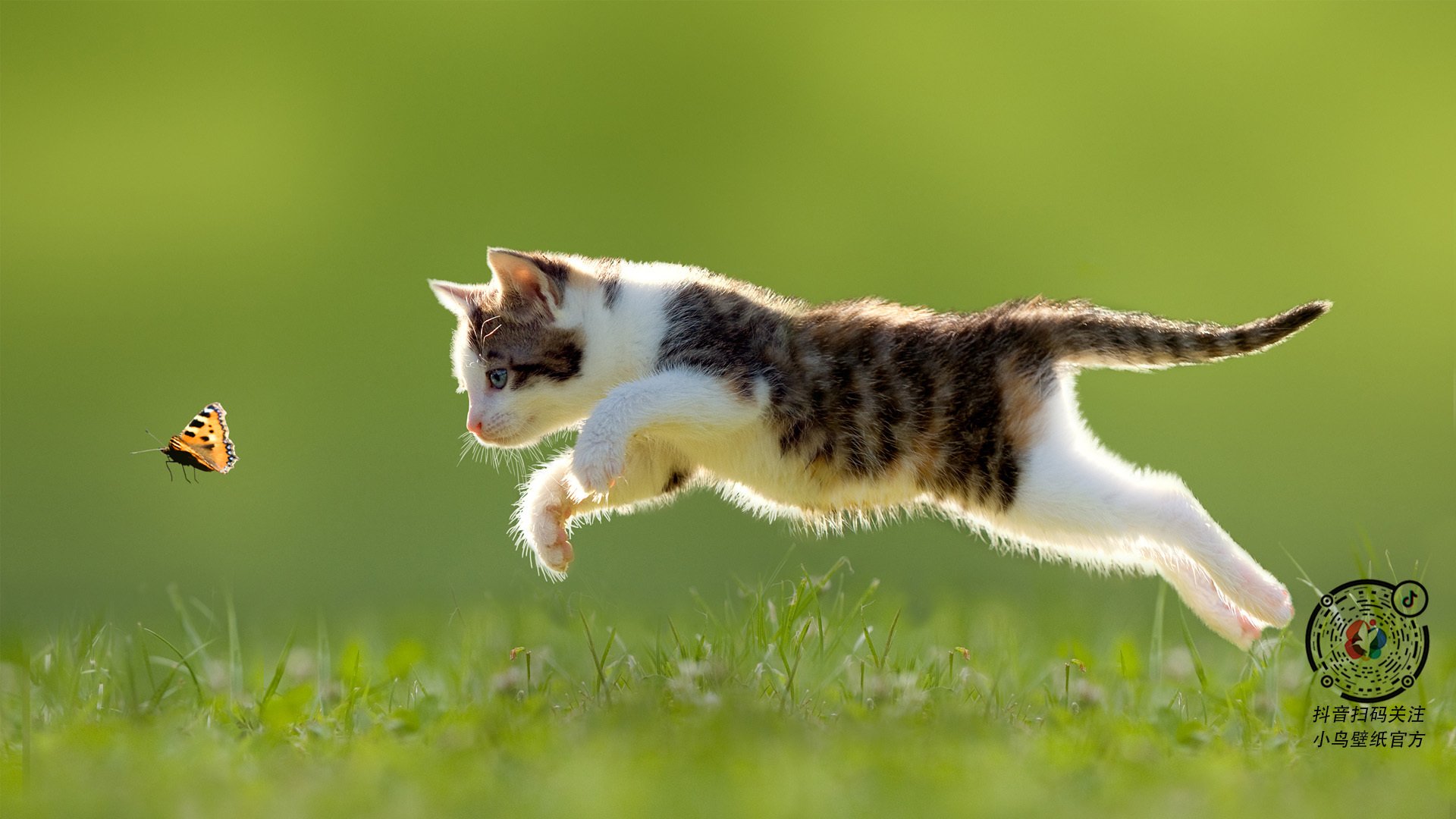 球员平均年龄约23.5岁,年轻阵容为主,足球球员平均年龄