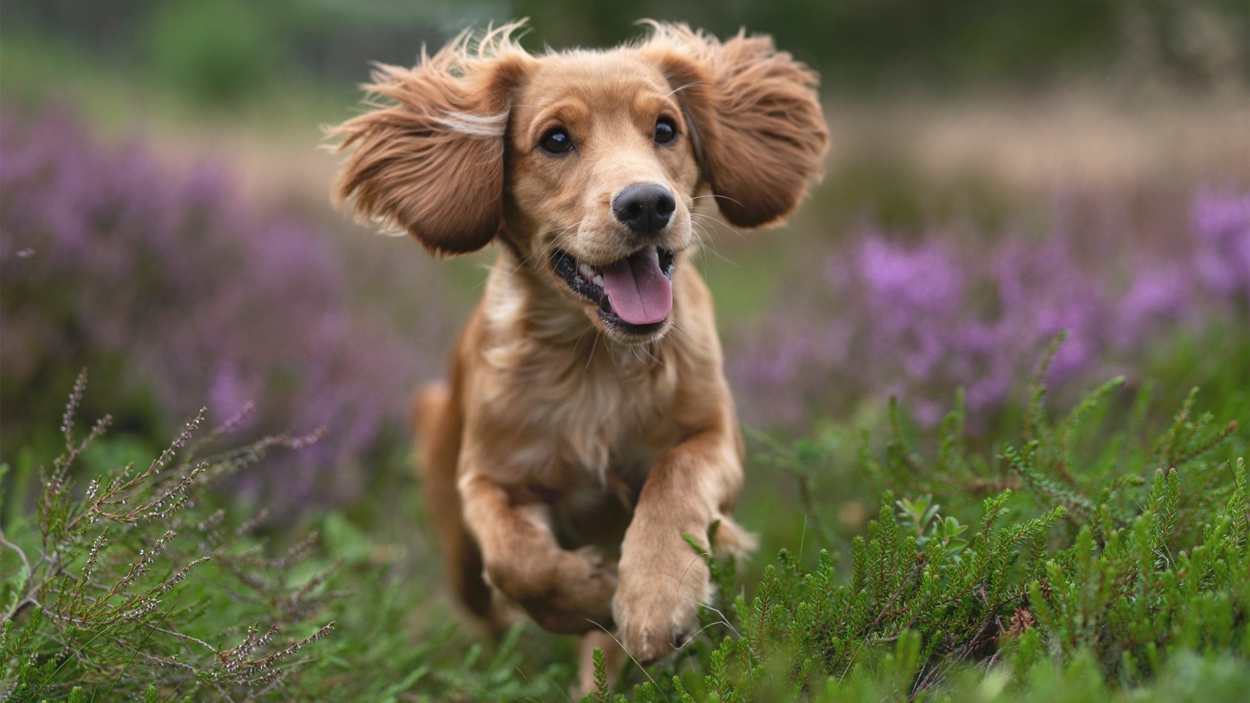 转换节奏判断是否应由持球人独立完成，转换节奏判断是否应由持球人独立完成