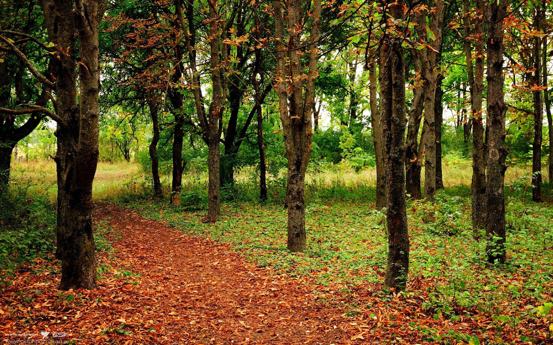 国家队定期开展体能评估优化球员个人训练计划，国家队体能训练方案