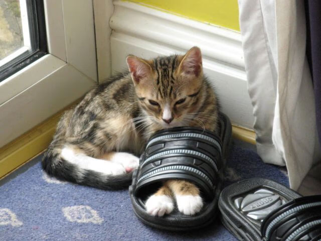 乐鱼体育平台登录-德甲攻防激烈：变化莫测，精彩不断！，德甲防守最好的球队