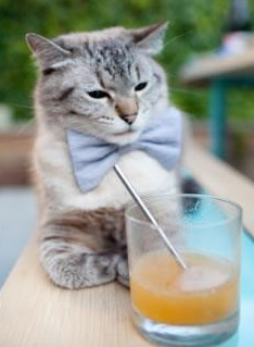 教练团队更新助力男队转型，教练带队