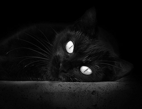 乐鱼体育官网下载-新闻中心发布体育心理健康发展指导意见，体育健康心理学