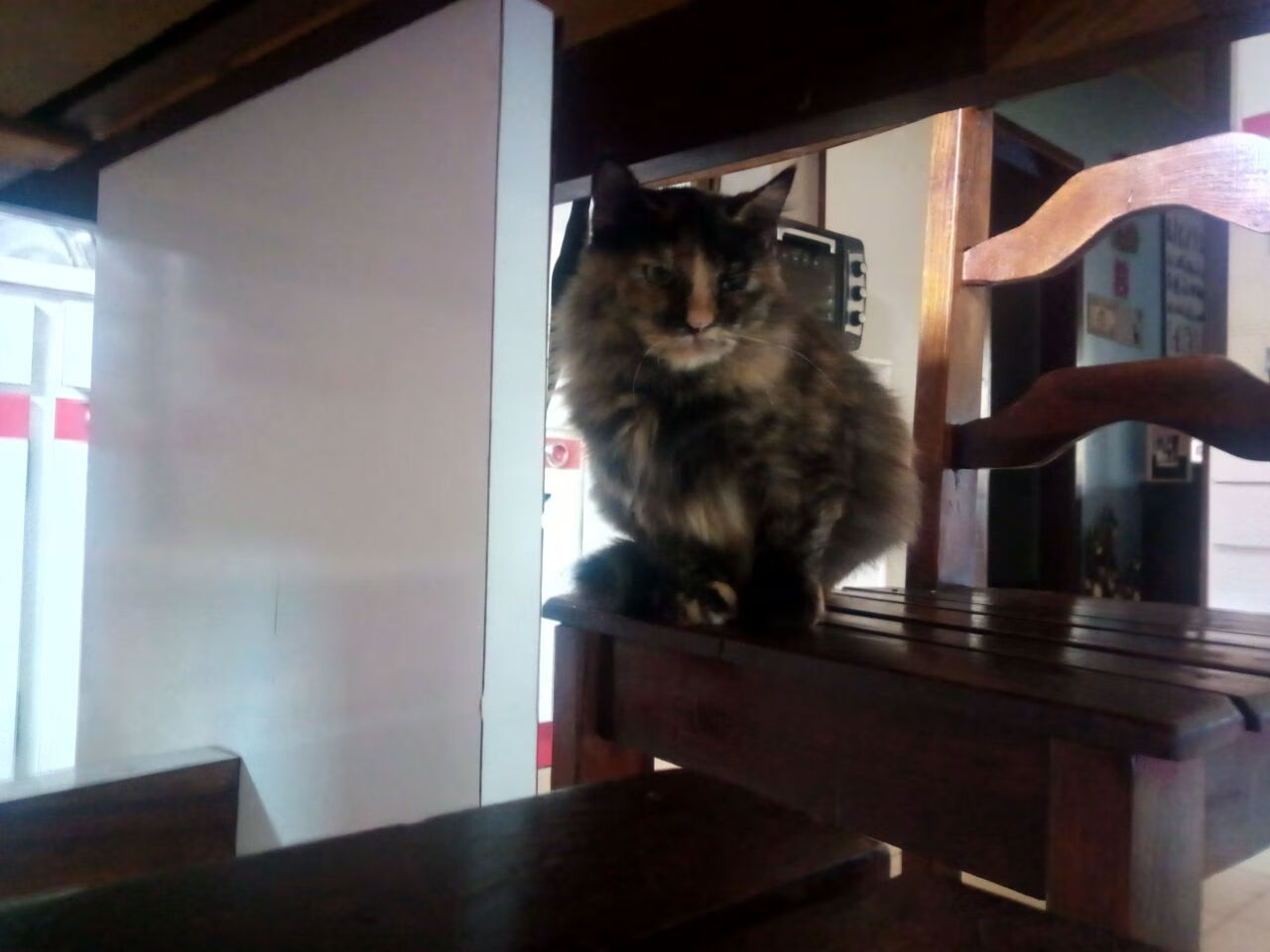 乐鱼体育网址入口-欧洲杯决胜轮：战术调整带来意想不到的最终胜利，欧洲杯决赛胜负预测